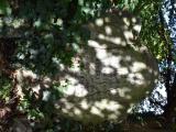 image of grave number 806497